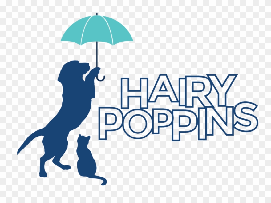 Hairypoppins - Veronique Sanson Les Moments Importants Clipart