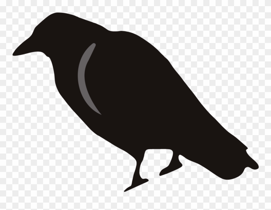 Crow Clipart Birds And Clip Art Photo Crowclipart - Crow Clip Art - Png Download