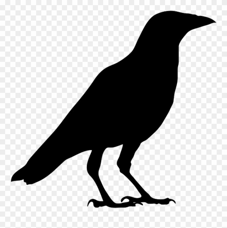 Crow Clipart Clipartfox - Outline Picture Of Crow - Png Download