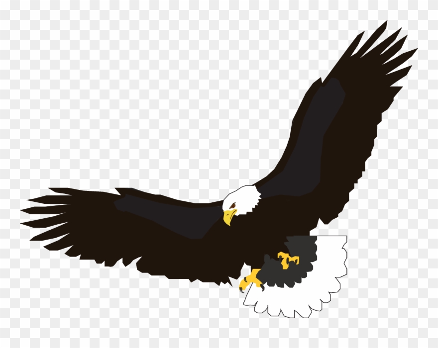 Free Usa Eagles Clipart Free Clipart Graphics Image - Eagle Clipart Png Transparent Png