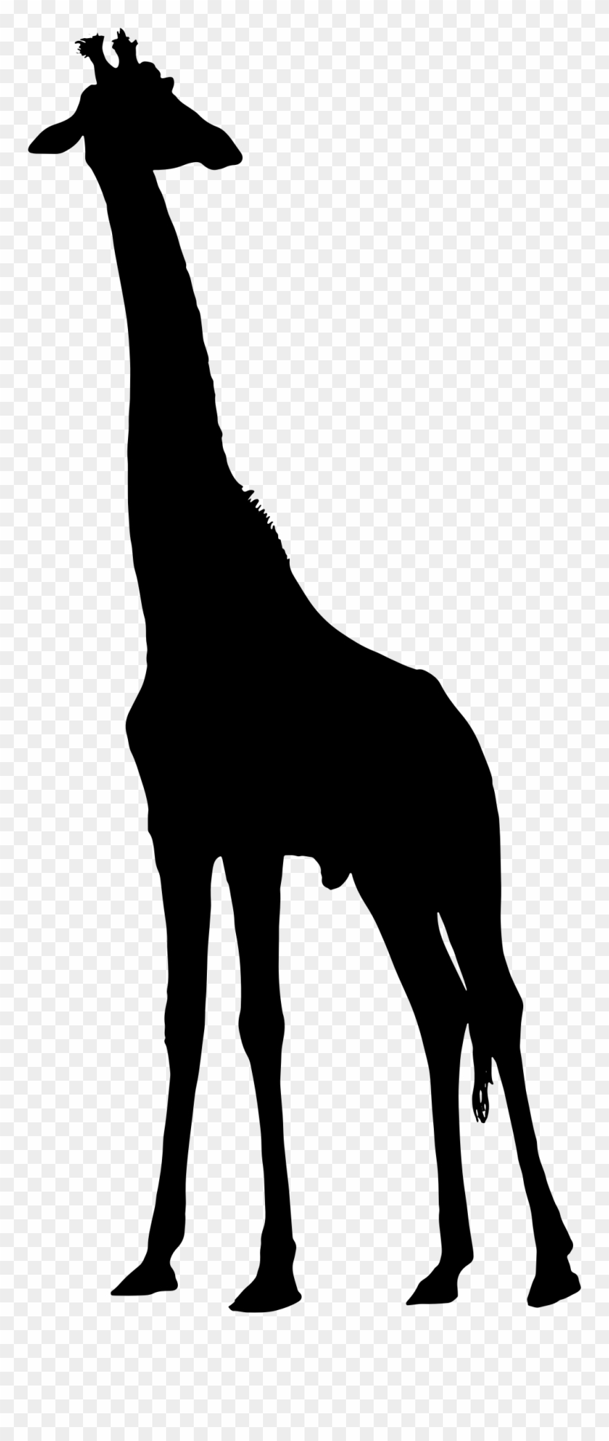 Clipart - Clipart Giraffe Silhouette - Png Download