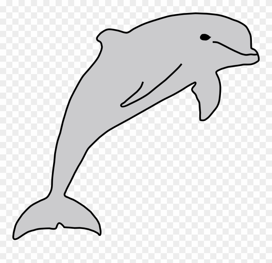 Gambar Sketsa Lumba Lumba Clipart