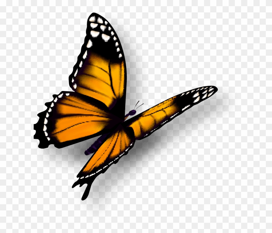 Upcoming Events - Clip Art - Png Download