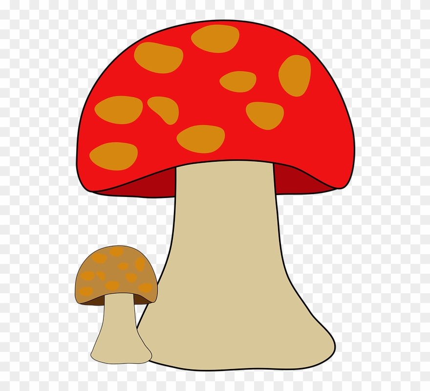 Black And White Collection Of Free Fungian - Organismo Hongo Clipart