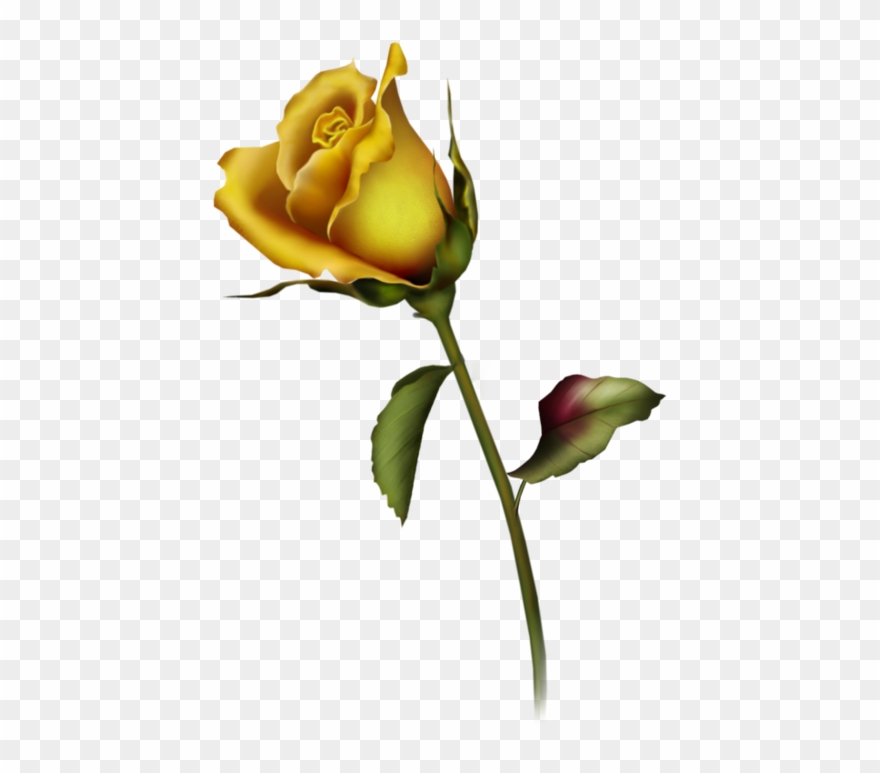 Yellow Rose Bud Art Clipart - Rose Bud Tattoo Design - Png Download