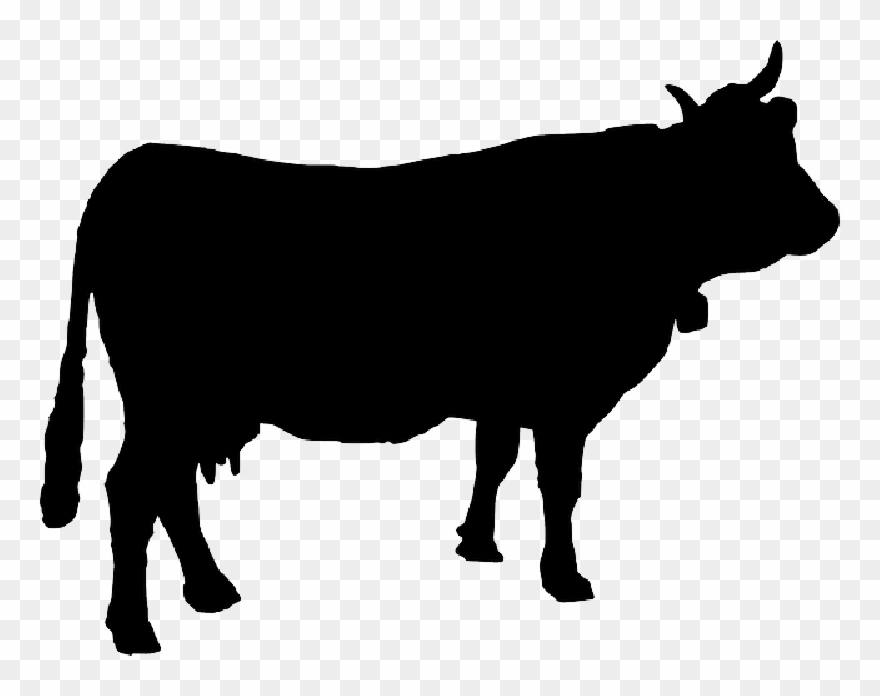 Cattle, Cow, Cowbell, Silhouette, Animal, Farm Animal - Cow Silhouette Svg Clipart