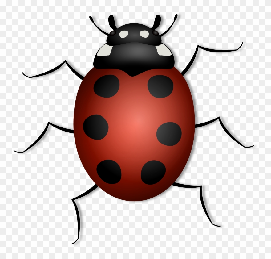 Free Barnyard Clipart - Lady Bug With 6 Legs - Png Download