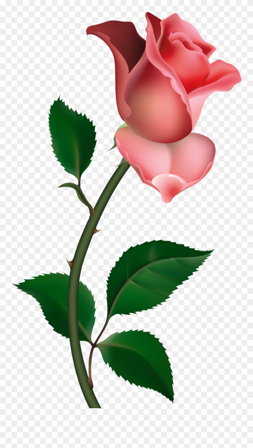 Roses Clip Art - Free Clipart Rose - Png Download