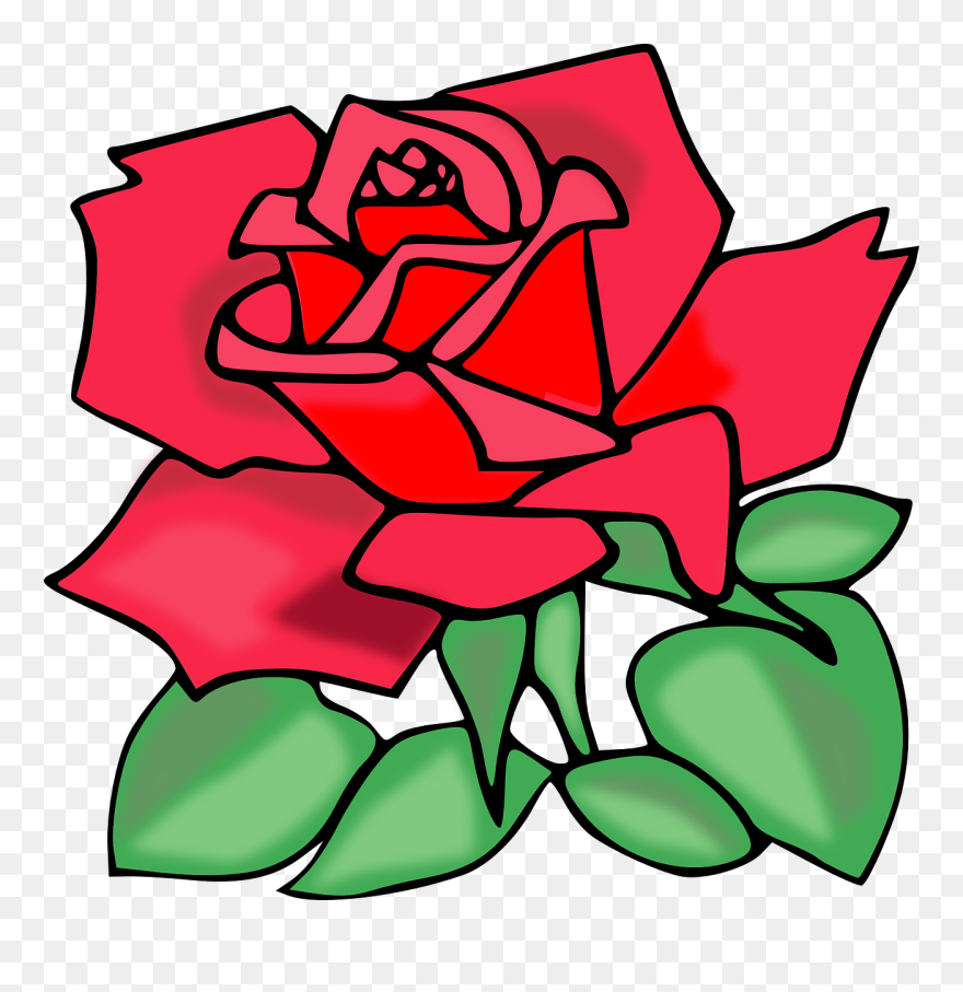 Rose - Clip - Art - Rose Transparent Clip Art - Png Download
