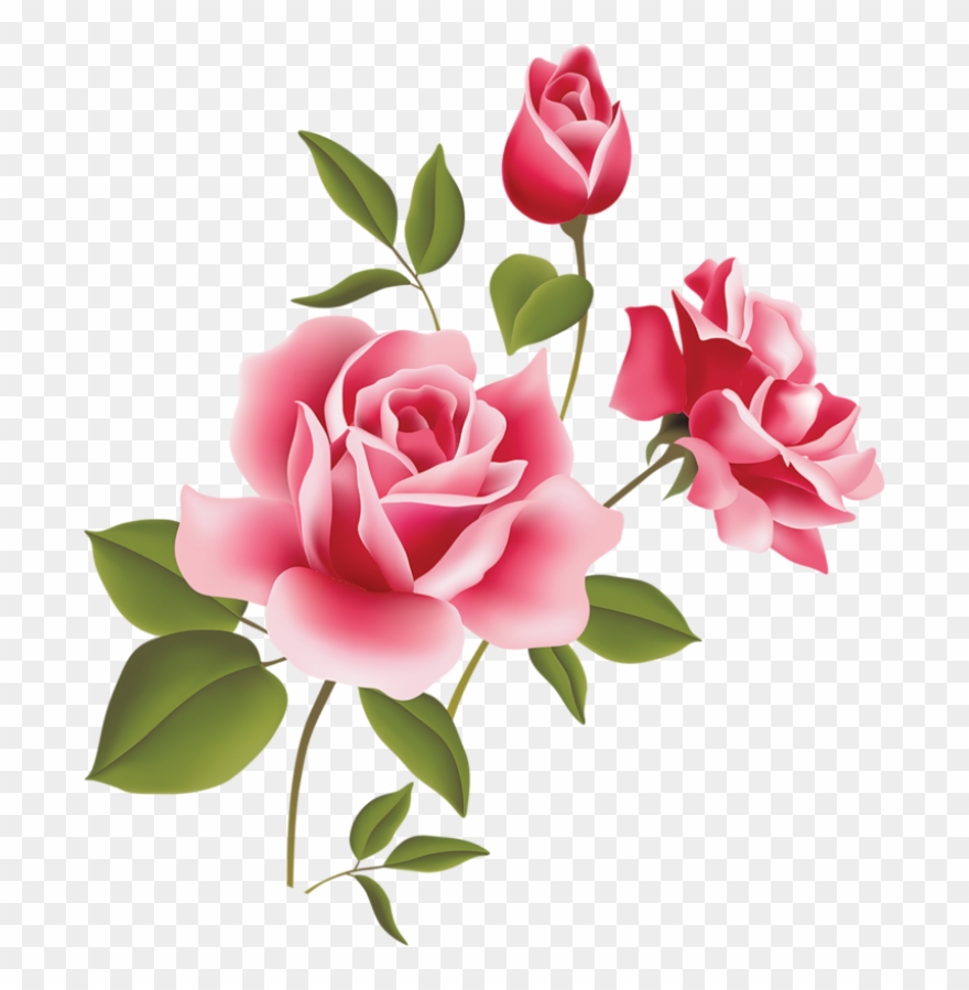 Art Rose Free Download Clip Art Free Clip Art On Clipart - Pink Rose Flower Png Transparent Png