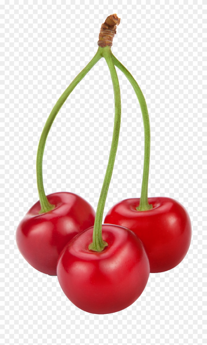 Watercolor Fruit, Fruit Painting, Food Clipart, Cherry - Cherry Clipart - Png Download