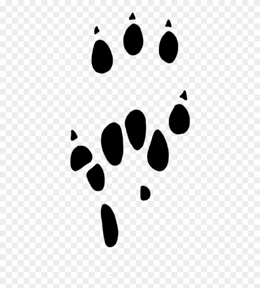 Download Free Printable Clipart And Coloring Pages - Rat Paw Print Png Transparent Png