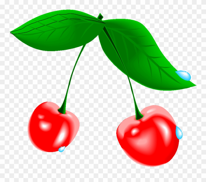Cherry Tree Clipart At Getdrawings - Cherry - Png Download