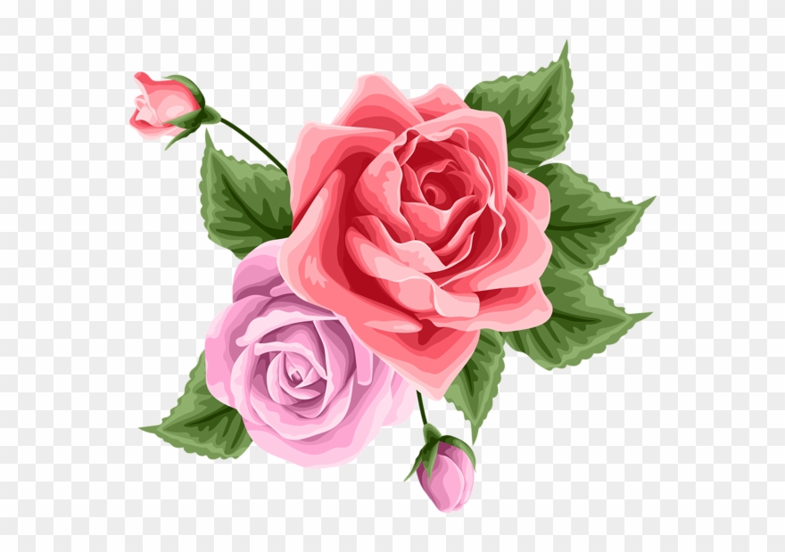 Rose Decoration Transparent Png Clip Art - Portable Network Graphics