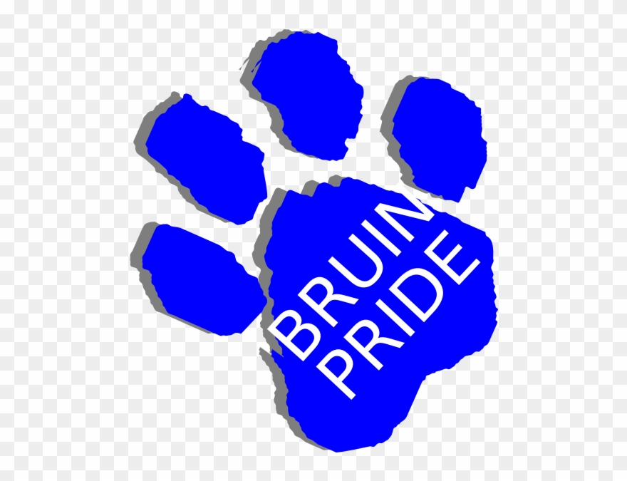 Bruin Pride Clip Art - Bruin Clip Art - Png Download