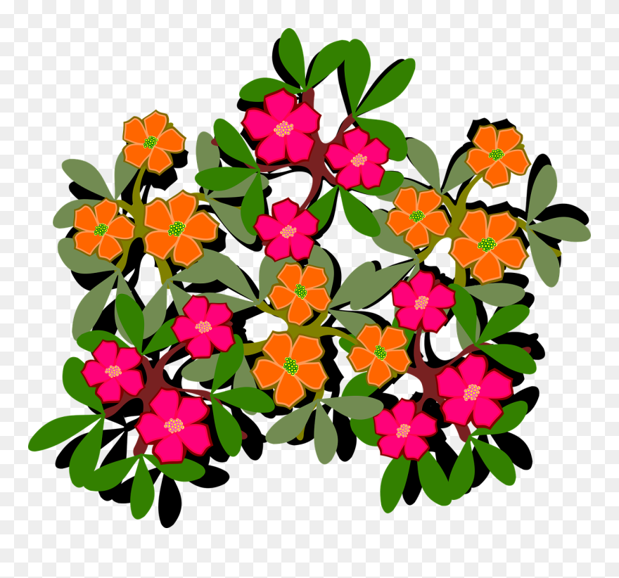 Floral Design Cut Flowers Plant Drawing - Clip Art Portulaca - Png Download