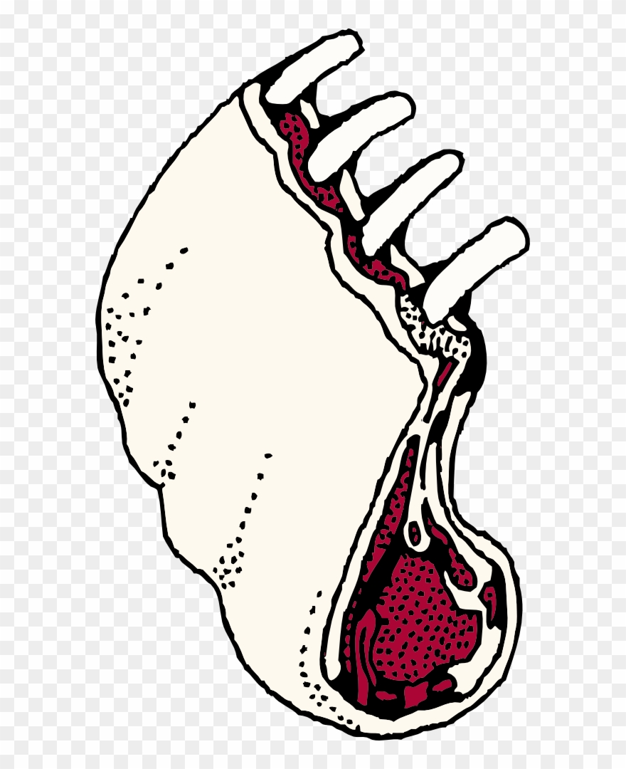 Loin Rack Clipart, Vector Clip Art Online, Royalty - Rack Of Ribs Clipart - Png Download