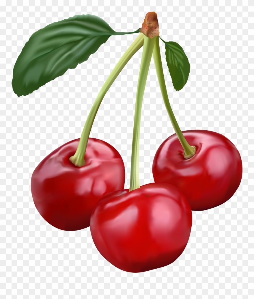 Cherry Png Clip Art Transparent Png