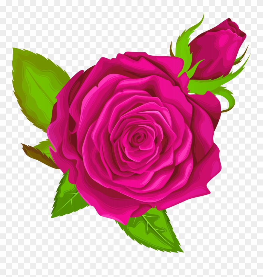 Rosa Clipart - Png Download