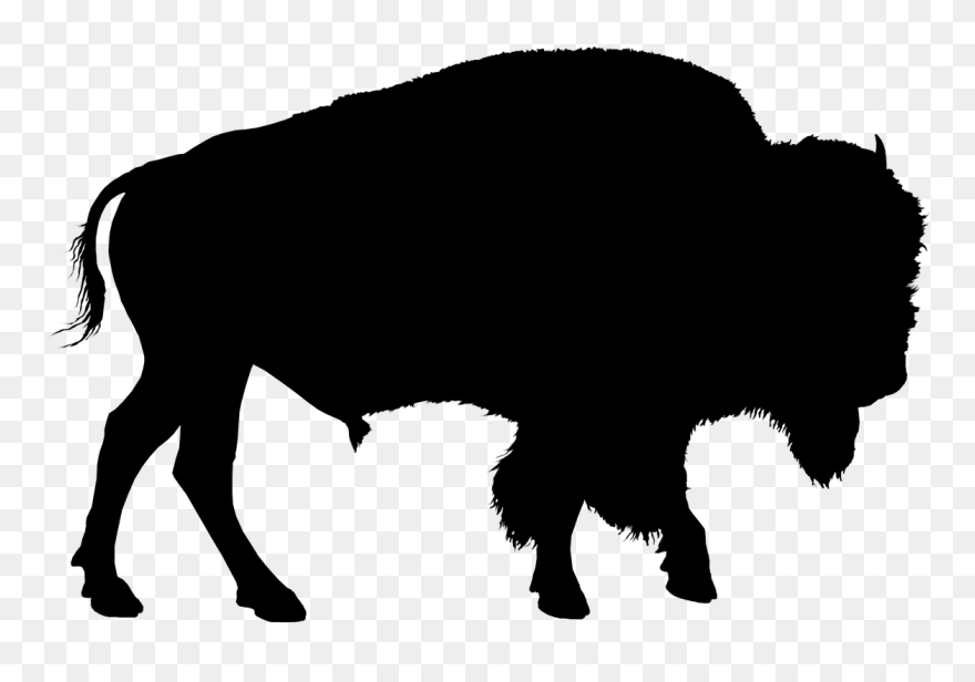 Clip Art Animal Bison American Drawing - Buffalo Silhouette - Png Download