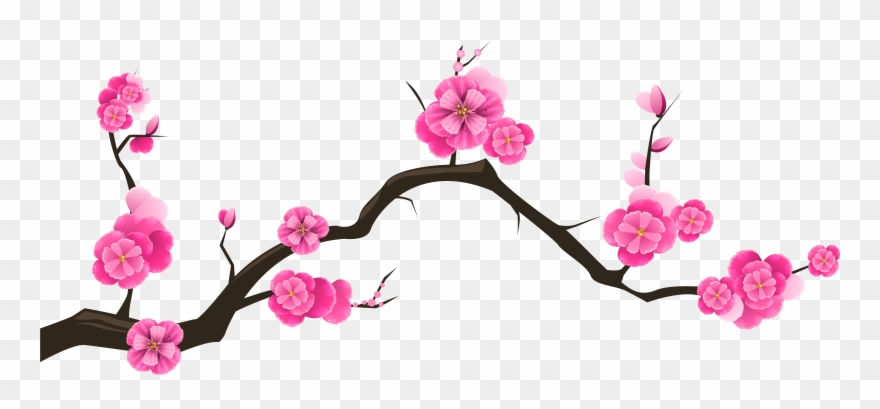 Kunstbilder, Clipart, Bunte Zeichnungen, Geld, Molde, - Transparent Background Cherry Blossom Clip Art - Png Download
