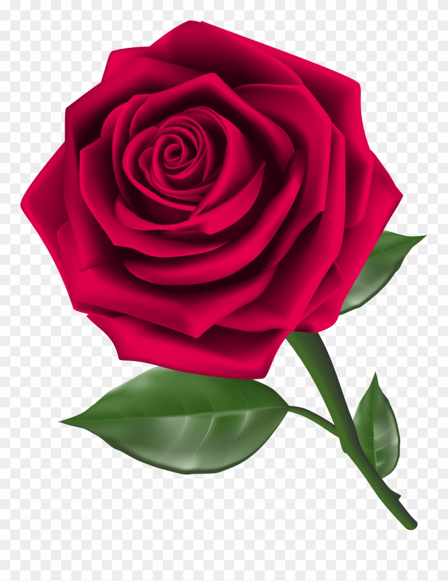 Clip Art Rose - Rose Clipart - Png Download