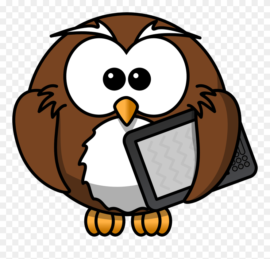 Una Vez Dentro, No Dejéis De Visitar Los Enlaces De - Cartoon Owl Shower Curtain Clipart