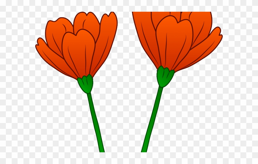 Orange Flower Clipart Clip Art - Poppy Flower Art Transparent - Png Download