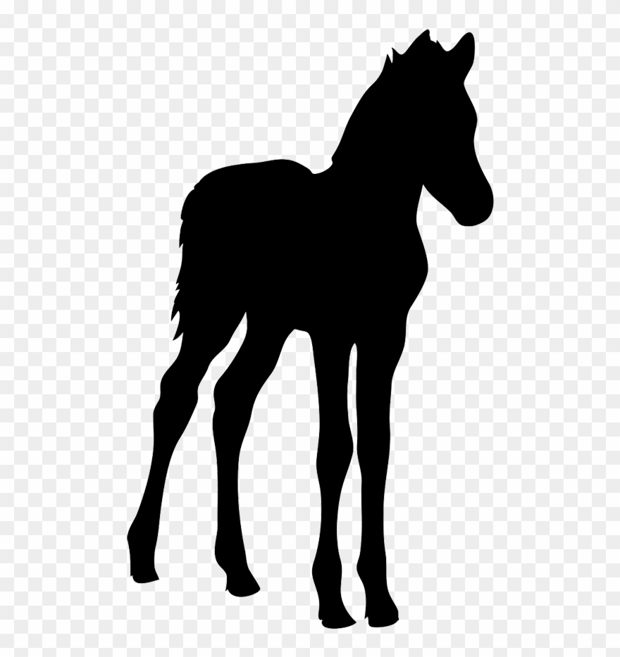 Horse Silhouette - Baby Horse Silhouette Clipart