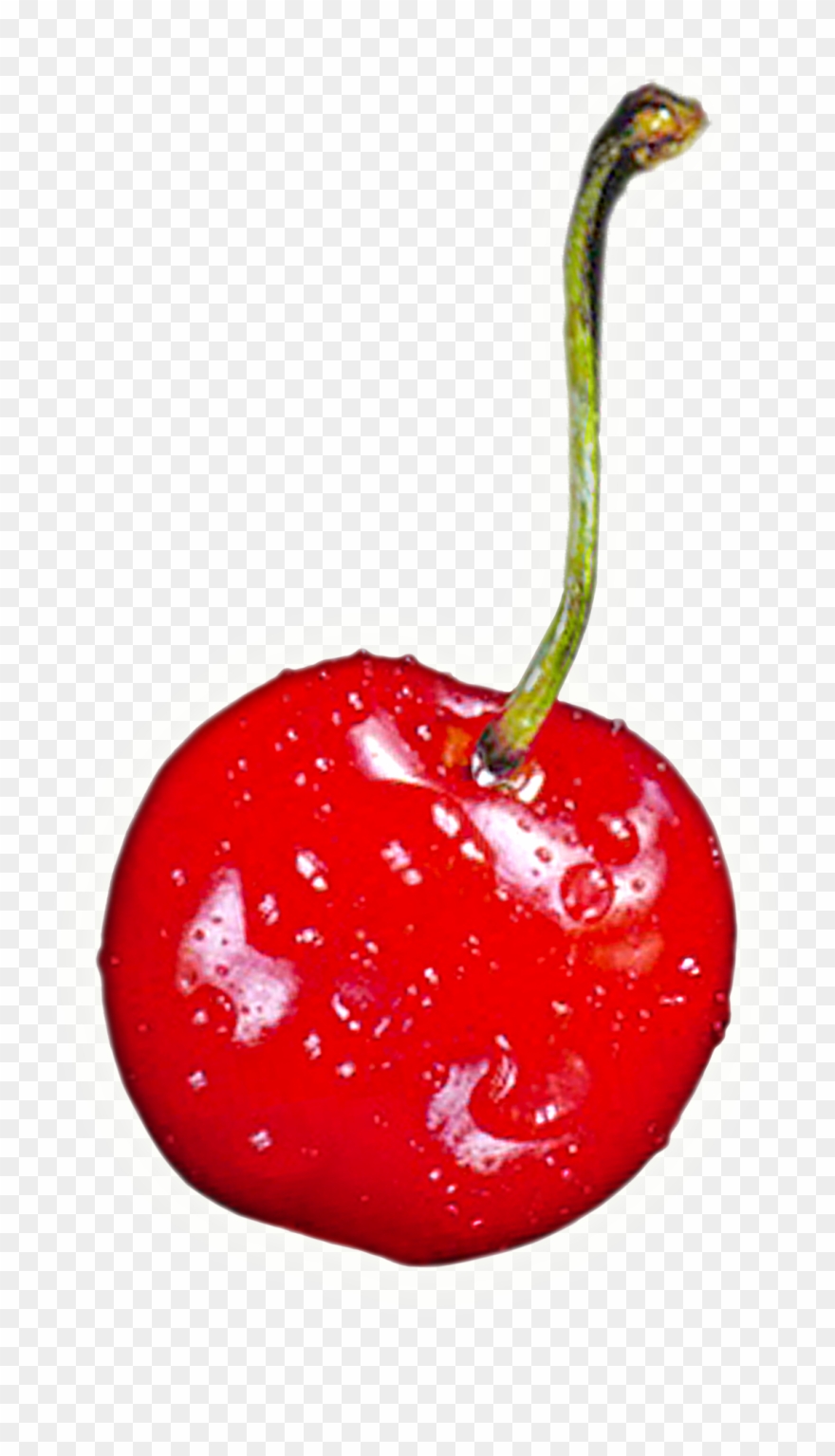Cherry Clipart One Cherry - Png Download