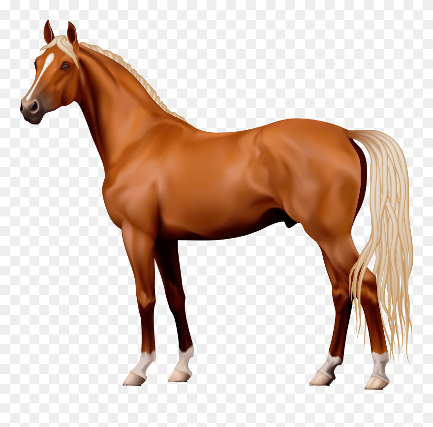 Horse Clipart 7 Clip Art - Horse Png Transparent Png