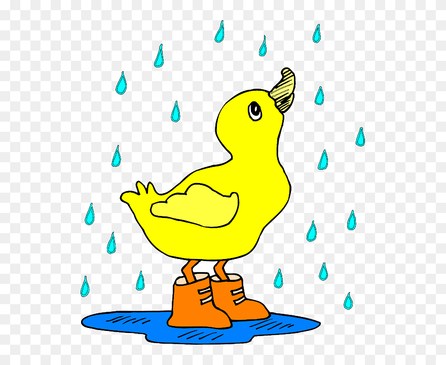 Sad Duck Cliparts - Cartoon Duck In The Rain - Png Download