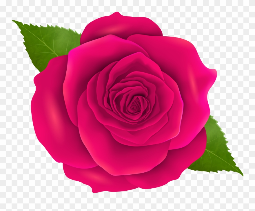 Rosa Clipart - Png Download