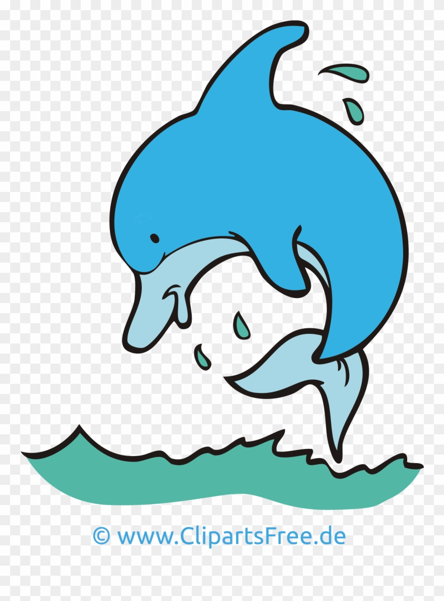 Clipart Cartoons Kostenlos - Delfin Clipart - Png Download