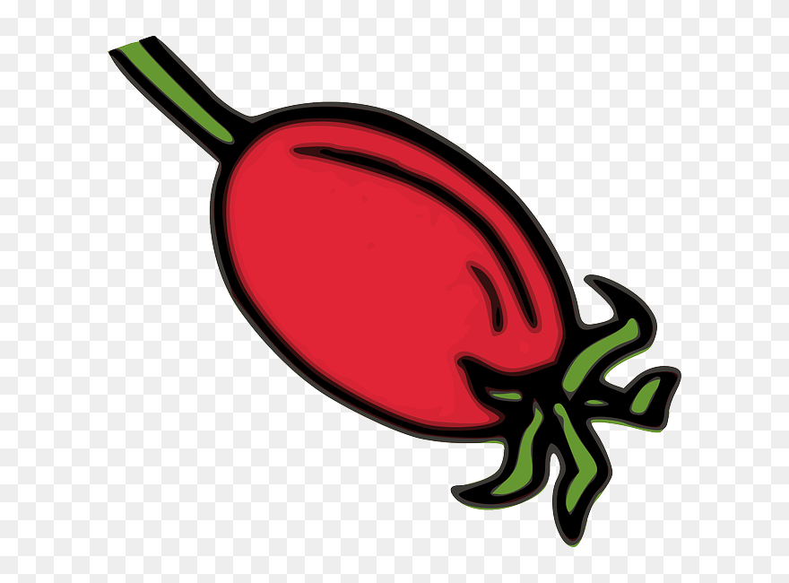 Rose Hips Clip Art - Png Download