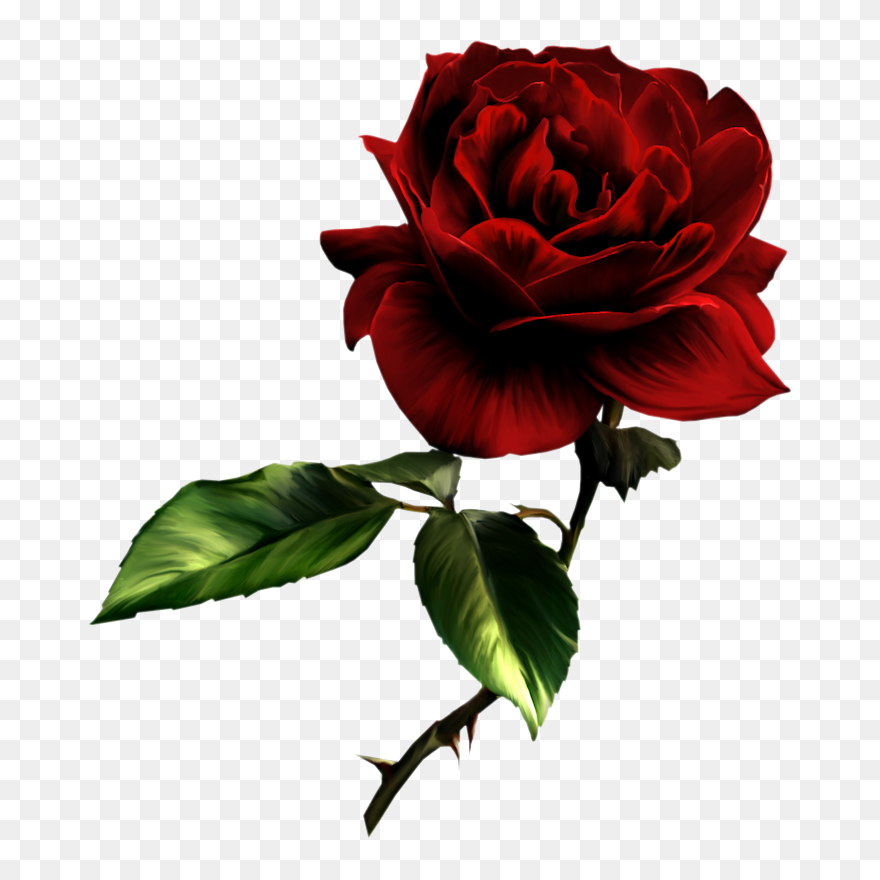Free Rose Pictures - Sympathy To A Dear Friend Clipart