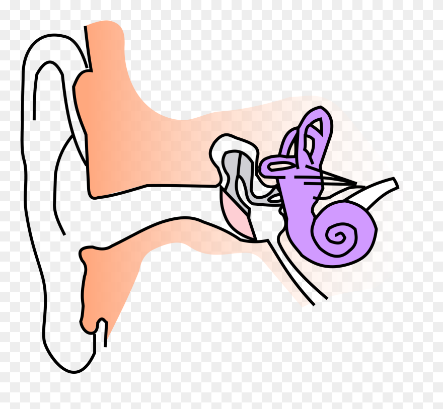 Sound Notes Class 8 Clipart