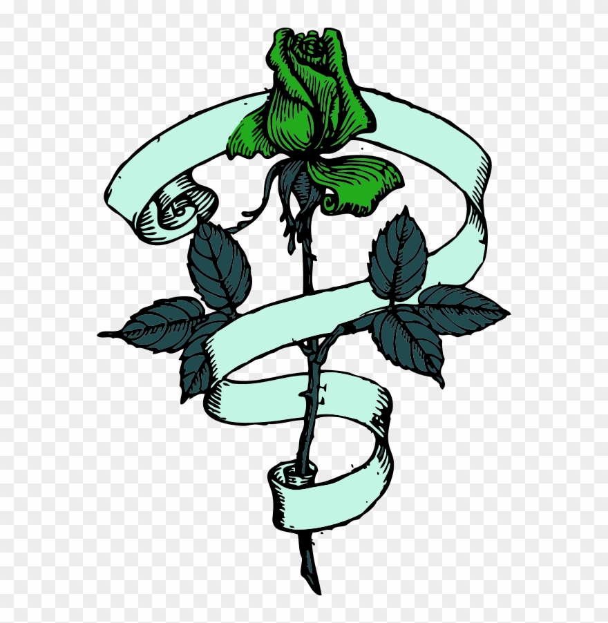 Vector Clip Art - Plant Vine Rose Drawing - Png Download