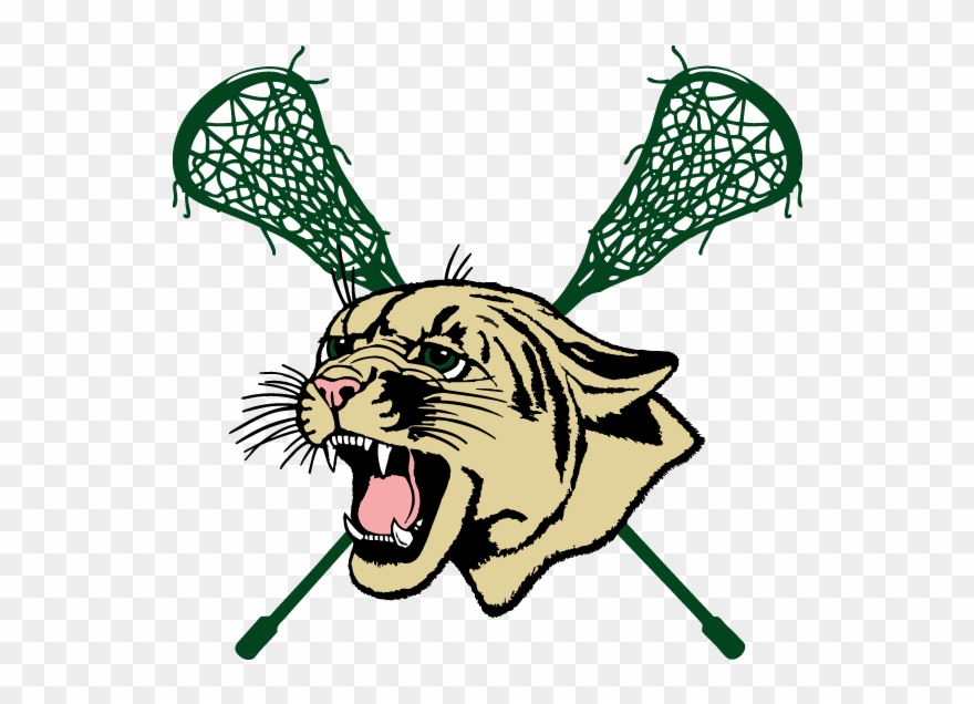 Augustine Fl Lacrosse - Florida Clipart