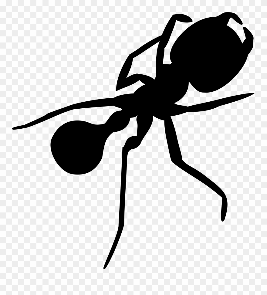 Ant Big Image Png - Silhouette Ant Clipart
