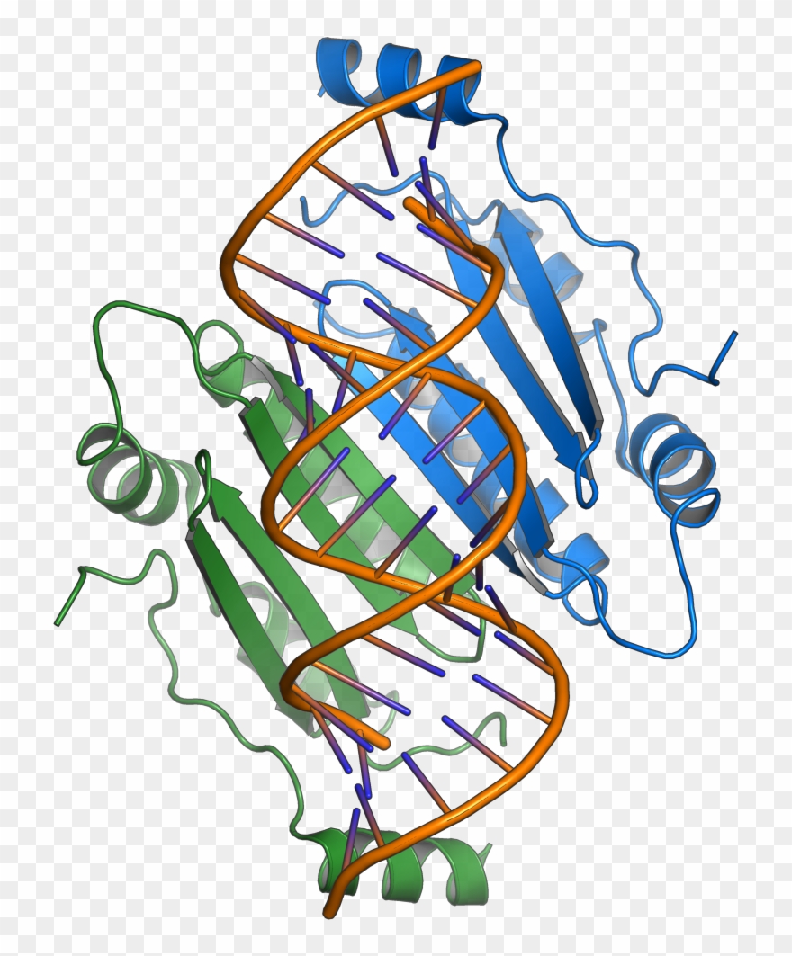 1r9f Tombusvirus P19 - Tombusvirus Clipart