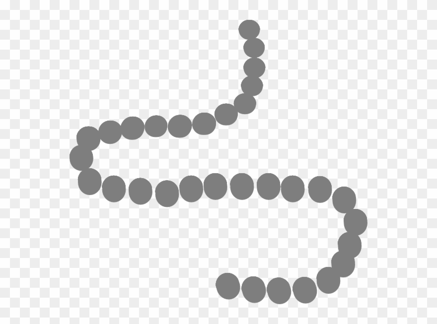 Download Pearls Clip Art At Clker Com Vector Clip Art Online - String Of Pearls Clipart - Png Download ...