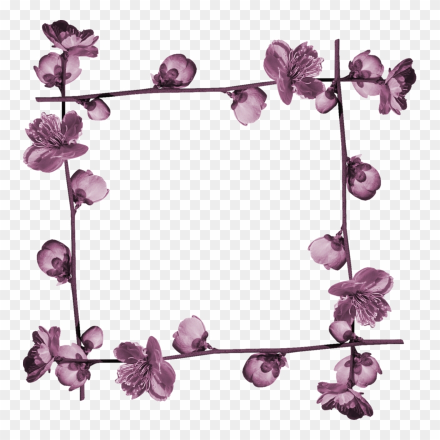 Яндекс - Фотки - Plum Blossom Clipart