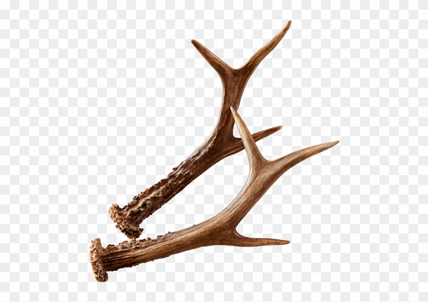 Unser Team Freut Sich Auf Ihren Besuch - Wood Clipart