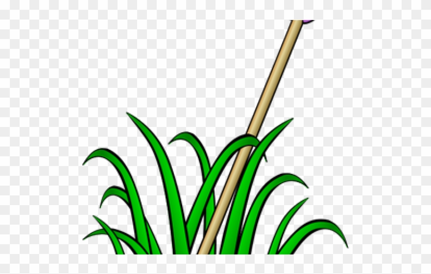 Sea Grass Clipart Tall - Grass Clip Art - Png Download
