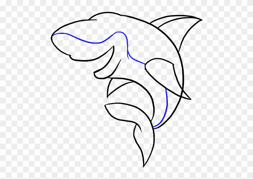 Dolphin Drawing Step By At Getdrawings Com - Drawing Clipart