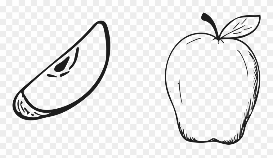 Ranunculus Drawing Hand Drawn Clip Art Freeuse Library - Hand Drawn Apple Png Transparent Png