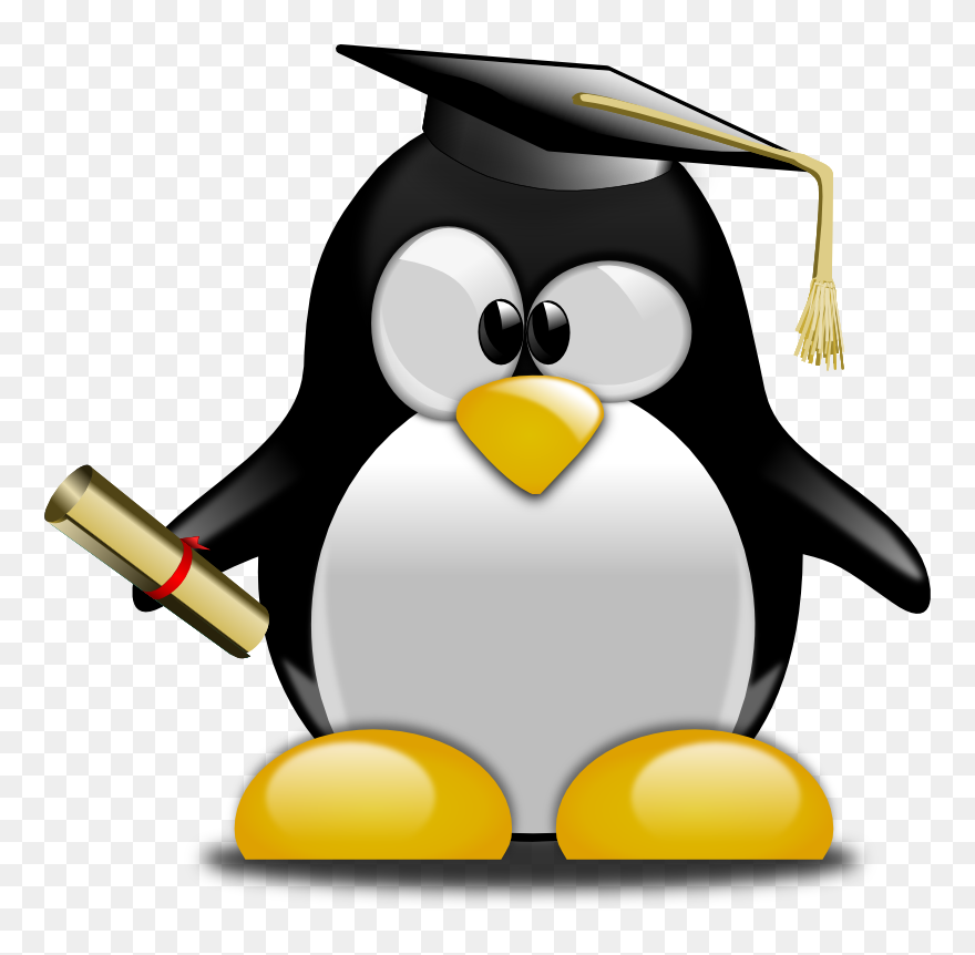 Graduation Ceremony Tuxedo Graduate University Penguin - Graduation Penguin Clipart - Png Download