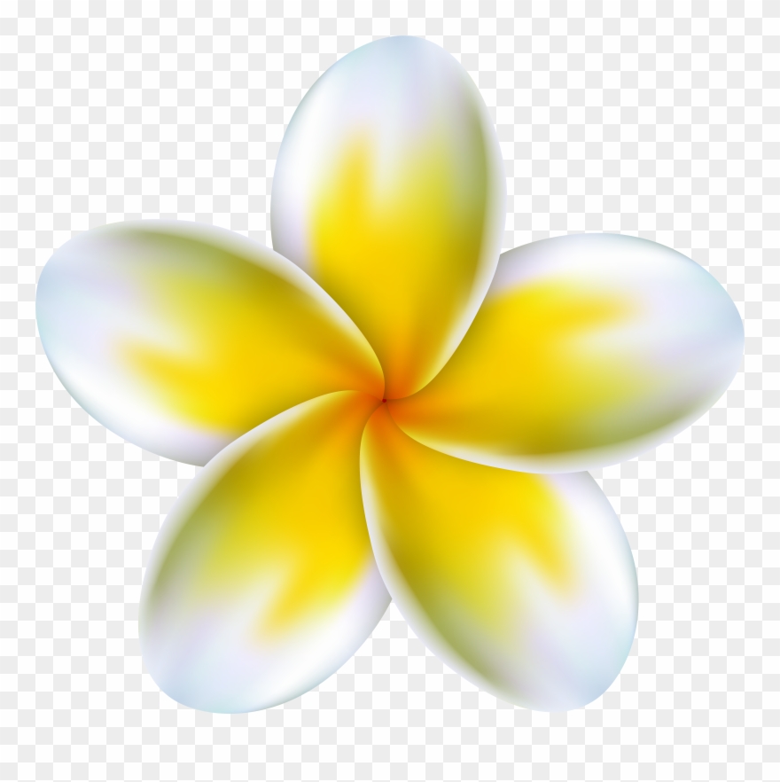 Tropical Flowers Clipart - Png Download
