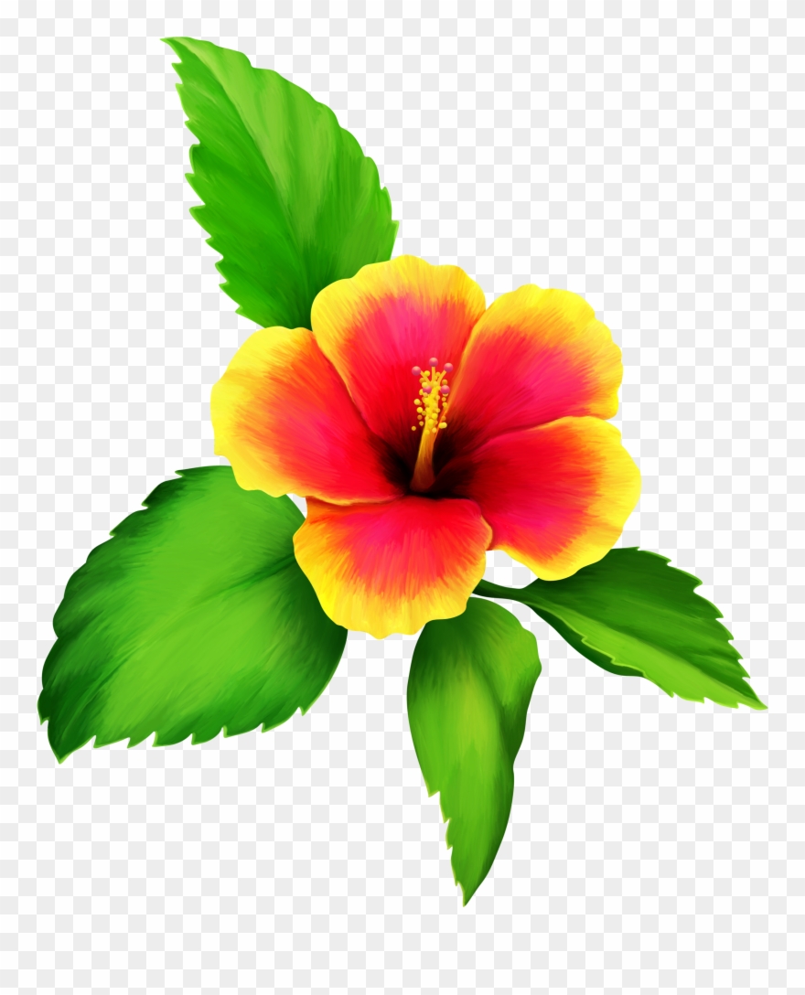 0 12cae1 5eaed5dc Orig Tahiti, Photoshop, Clip Art, - Png Download
